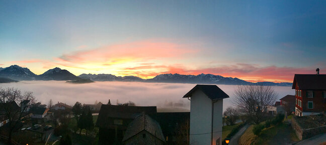 IMG3_0001_summer_8_IMG_6463